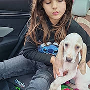 Aude participe au concours pour gagner de l'argent avec cette photo : animal, blanket, car_seat, casual_clothing, child, closeup, colorful, comfort, cute, dog, hoodie, indoors, leisure, long_hair, pet, puppy, resting, seatbelt, window, young_girl