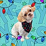 dog, small_dog, bandana, festive, paw_prints, white_fur, light_brown_fur, cute, holiday_background, christmas_lights, colorful, cartoon_background, decorations, pet, portrait, animal, sitting, fluffy, friendly, adorable