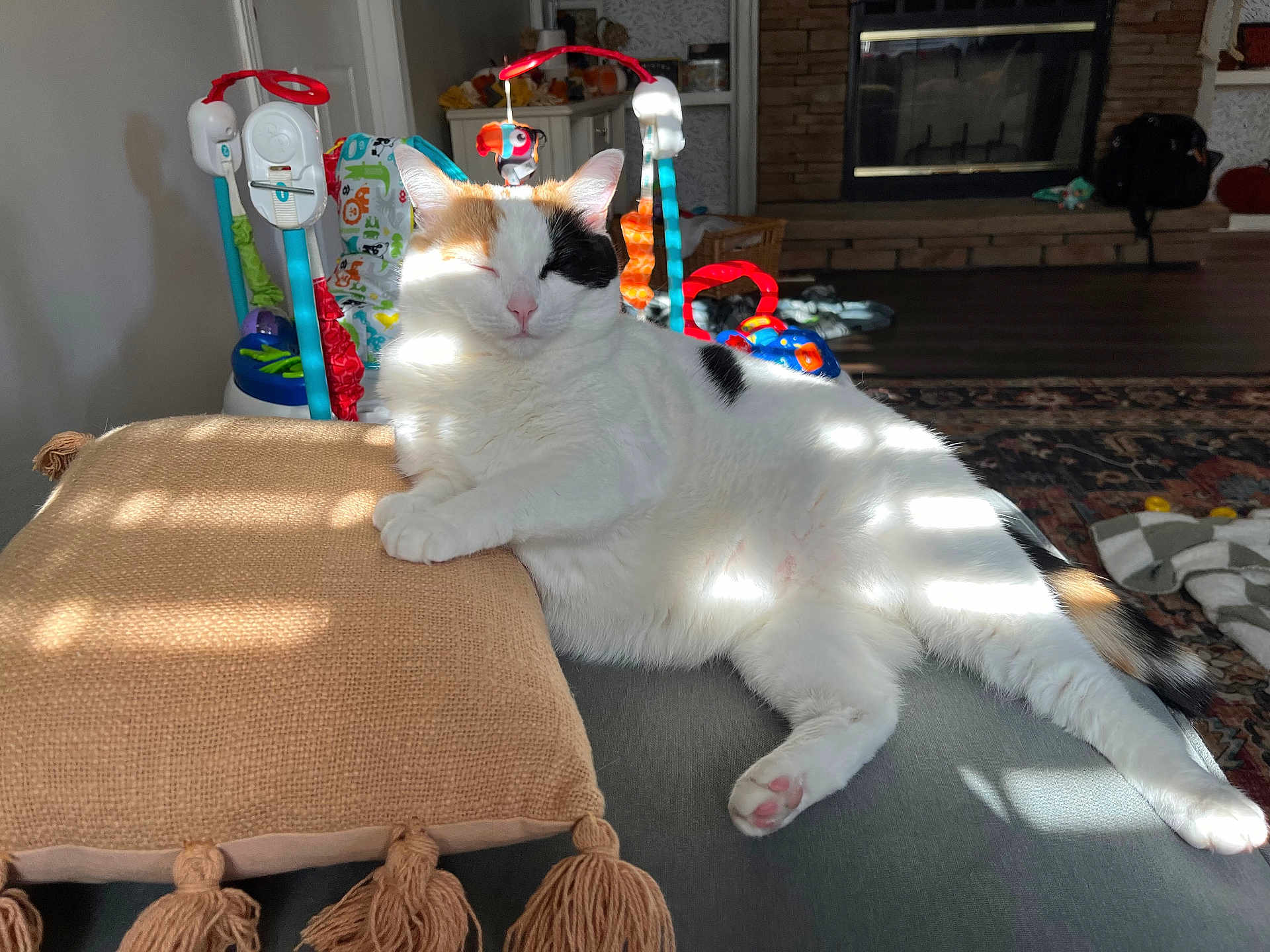 Cupcake joined the competition — help win amazing prizes! cat, calico_cat, couch, pillow, sunlight, indoor, living_room, fireplace, toy, blanket, relaxed, feline, pet, home, fur, light_pattern, cozy, resting, whiskers, paw