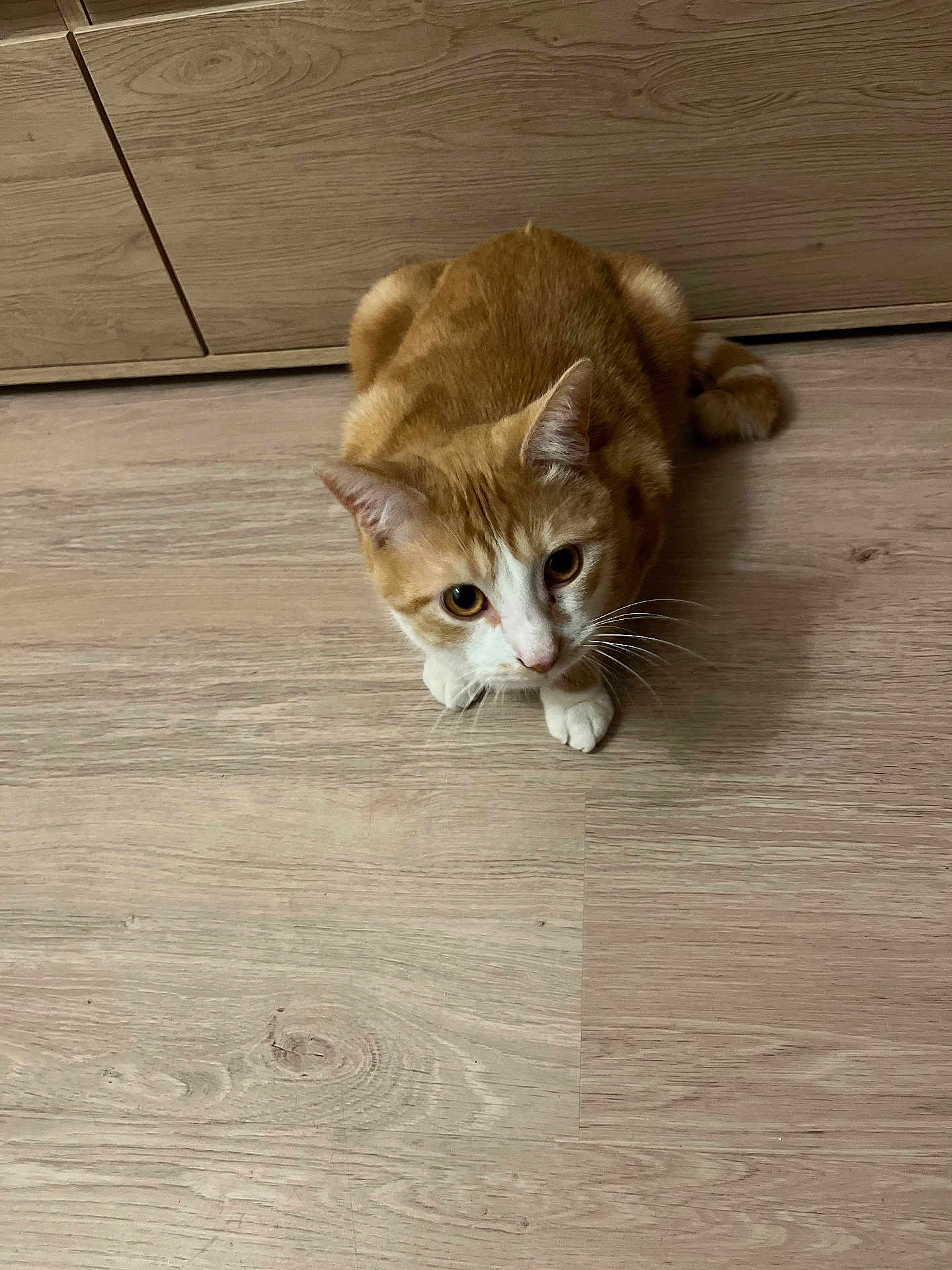 Tigrou
