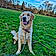 Ares