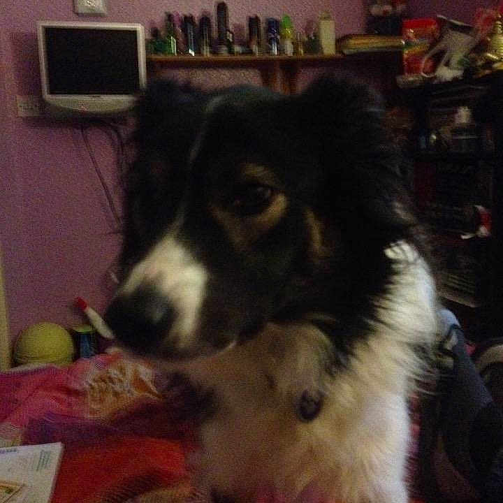 Bryn is registered to the contest to win money with this photo: