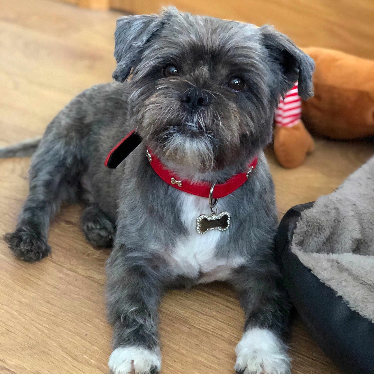 Hugo