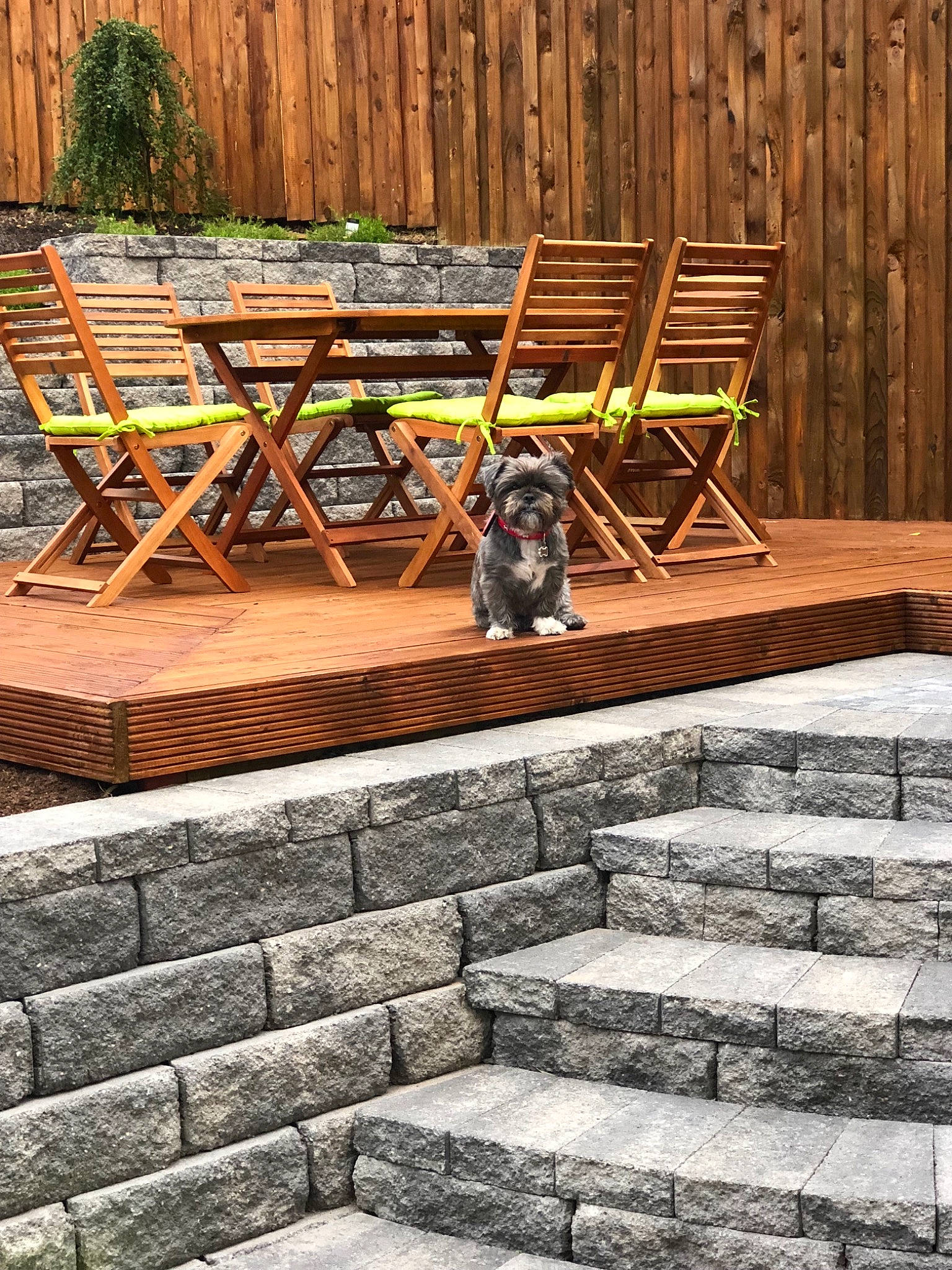 Hugo is registered to the contest to win money with this photo: backyard, brick, brickwork, chair, deck, flagstone, floor, flooring, furniture, hardwood, home, landscaping, outdoor_furniture, outdoor_table, patio, rock, sporting_group, table, wood, yard