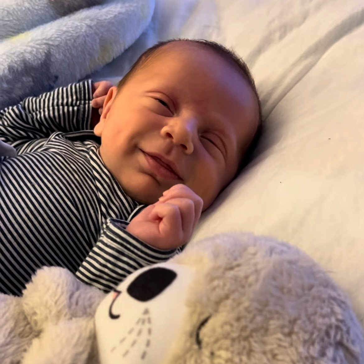 Kaesyn joined the competition — help win amazing prizes! animal, baby, bed, blanket, bodypart, couch, cushion, face, finger, furniture, hand, head, homedecor, livestock, newborn, person, photography, portrait, sheep, sleeping