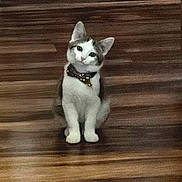 Rick joined the competition — help win amazing prizes! adorable, animal, bow_tie, cat, companion, curious, cute, domestic_cat, ears, eyes, feline, fur, head_tilt, house, indoor, pet, sitting, small, whiskers, wooden_floor