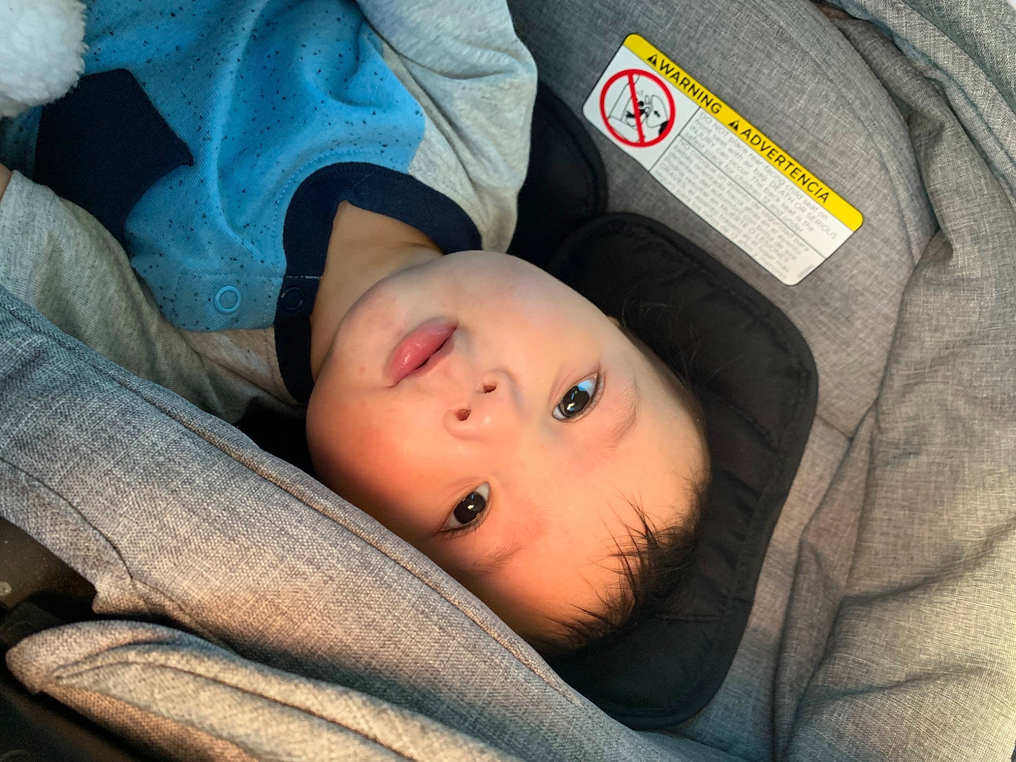 Kason is registered to the contest to win money with this photo: cheek, child, comfort, eyebrow, eyelash, flash_photography, fur, grass, lip, nose, person, portrait_photography, sitting, sleeve, toddler, tree, wood