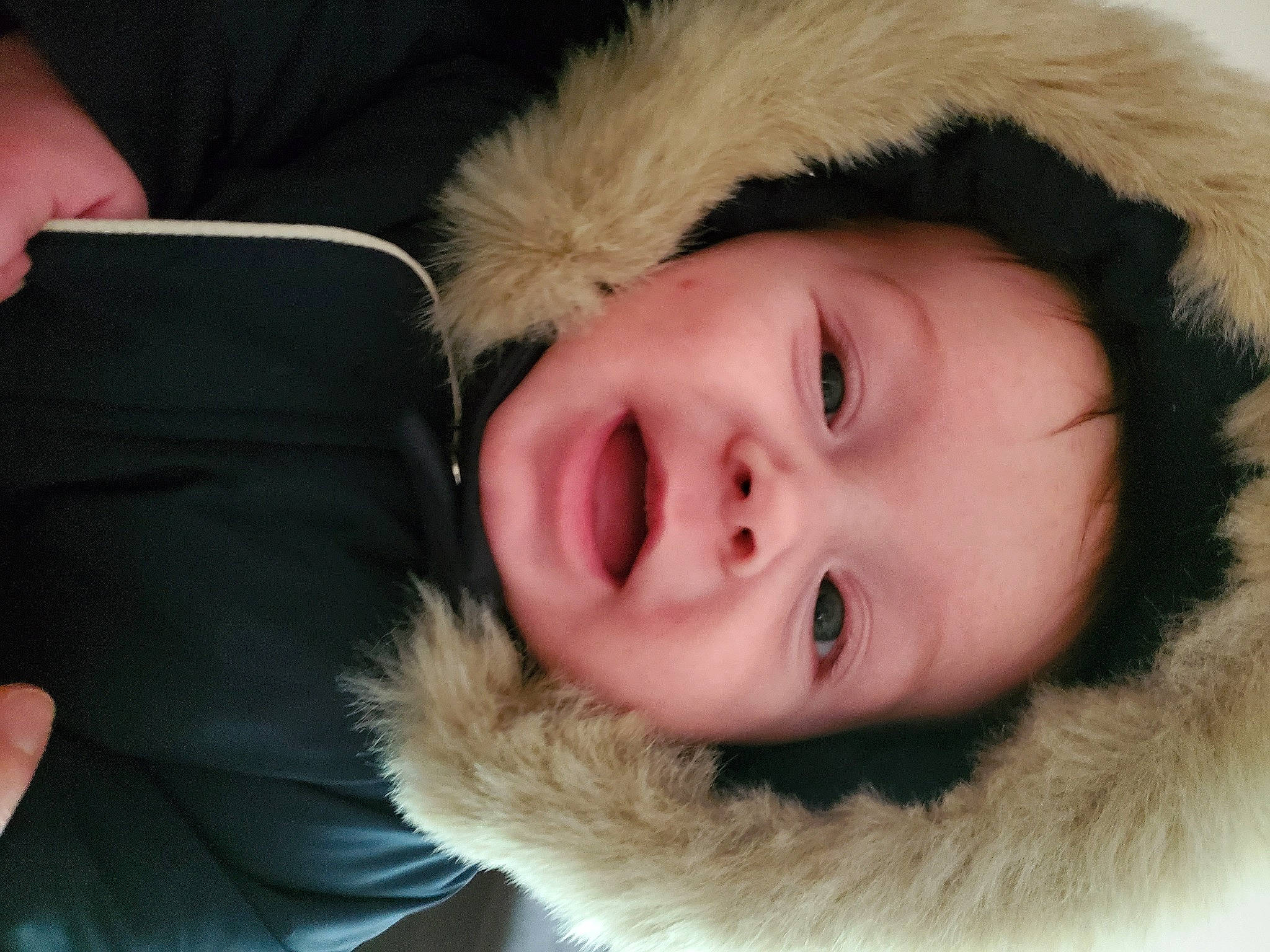 Campbell joined the competition — help win amazing prizes! cheek, chin, ear, eye, eyebrow, eyelash, face, fur_clothing, hairstyle, happy, head, iris, lip, mammal, mouth, neck, nose, parka, person, skin