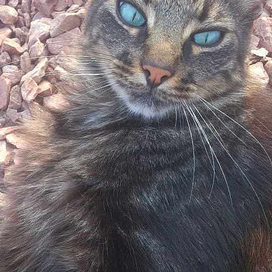 Max participe au concours pour gagner de l'argent avec cette photo :