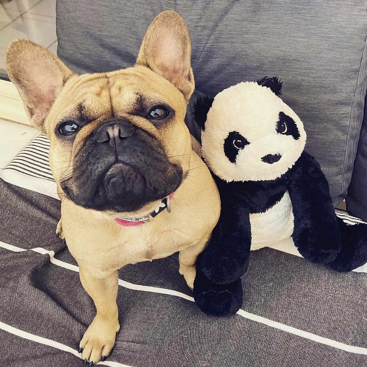 Poupette