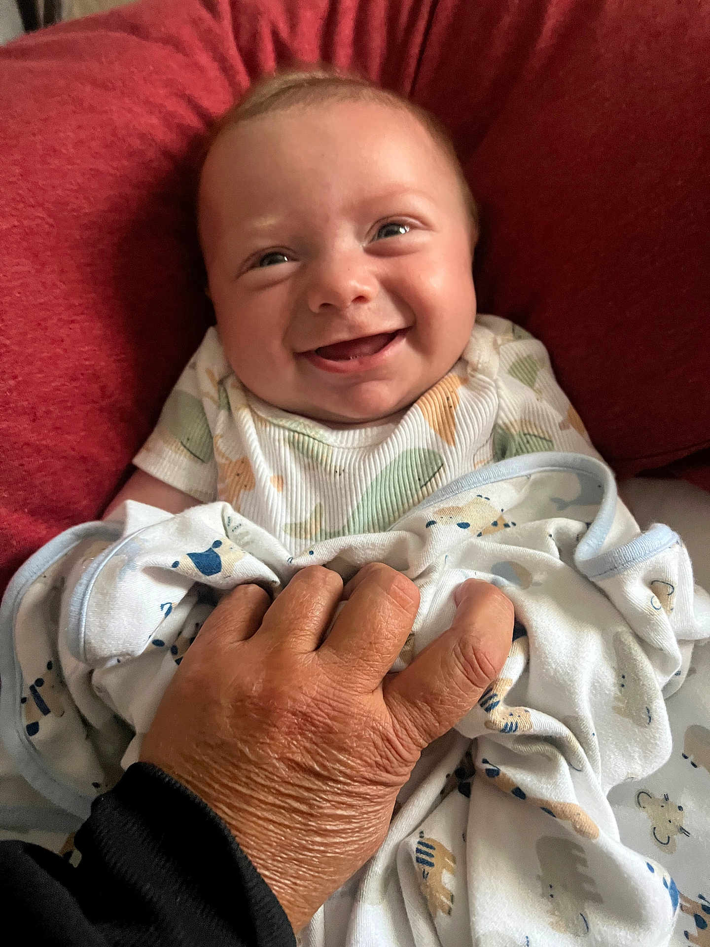 Anthony joined the competition — help win amazing prizes! baby, smiling, face, hand, blanket, cushion, red, clothing, person, infant, cozy, comfort, portrait, cute, happy, wrapped, animal_print, skin, warmth, closeup