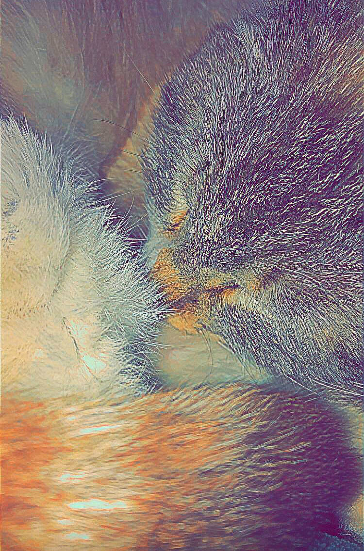 Ti-moon a rejoint le concours — aidez-le/la à gagner de superbes lots ! art, carnivore, cat, cloud, electric_blue, feather, felidae, fur, hand, painting, pattern, small_to_medium_sized_cats, snout, tail, terrestrial_animal, tints_and_shades, visual_arts, whiskers, wing, wood