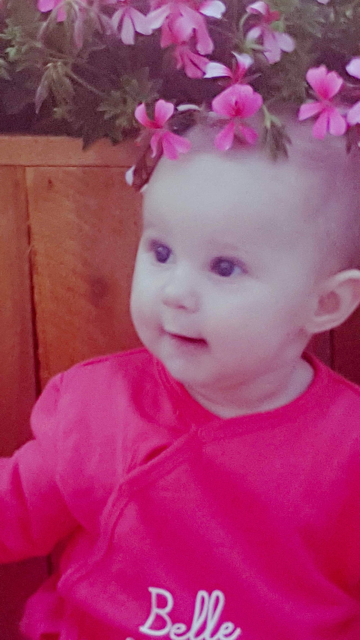 Arya participe au concours pour gagner de l'argent avec cette photo : baby, cheek, child, face, flower, hair_accessory, headgear, lip, magenta, person, petal, pink, plant, smile, toddler