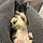 Cleo
