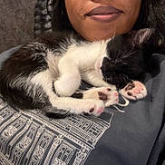 Cleo joined the competition — help win amazing prizes! kitten, sleeping, cat, paw_pads, black_and_white, person, lips, cozy, snuggling, close_up, indoor, casual_clothing, soft_texture, resting, cute, pet, fur, animal, comfort, relaxation