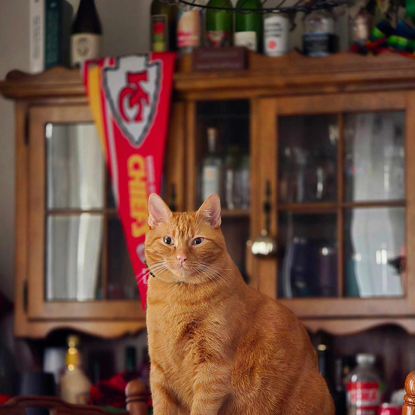 Tito
