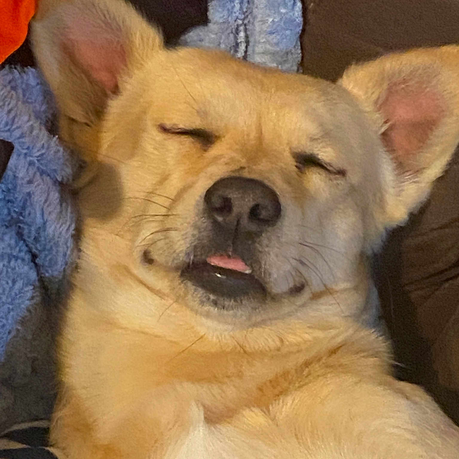 Sampson