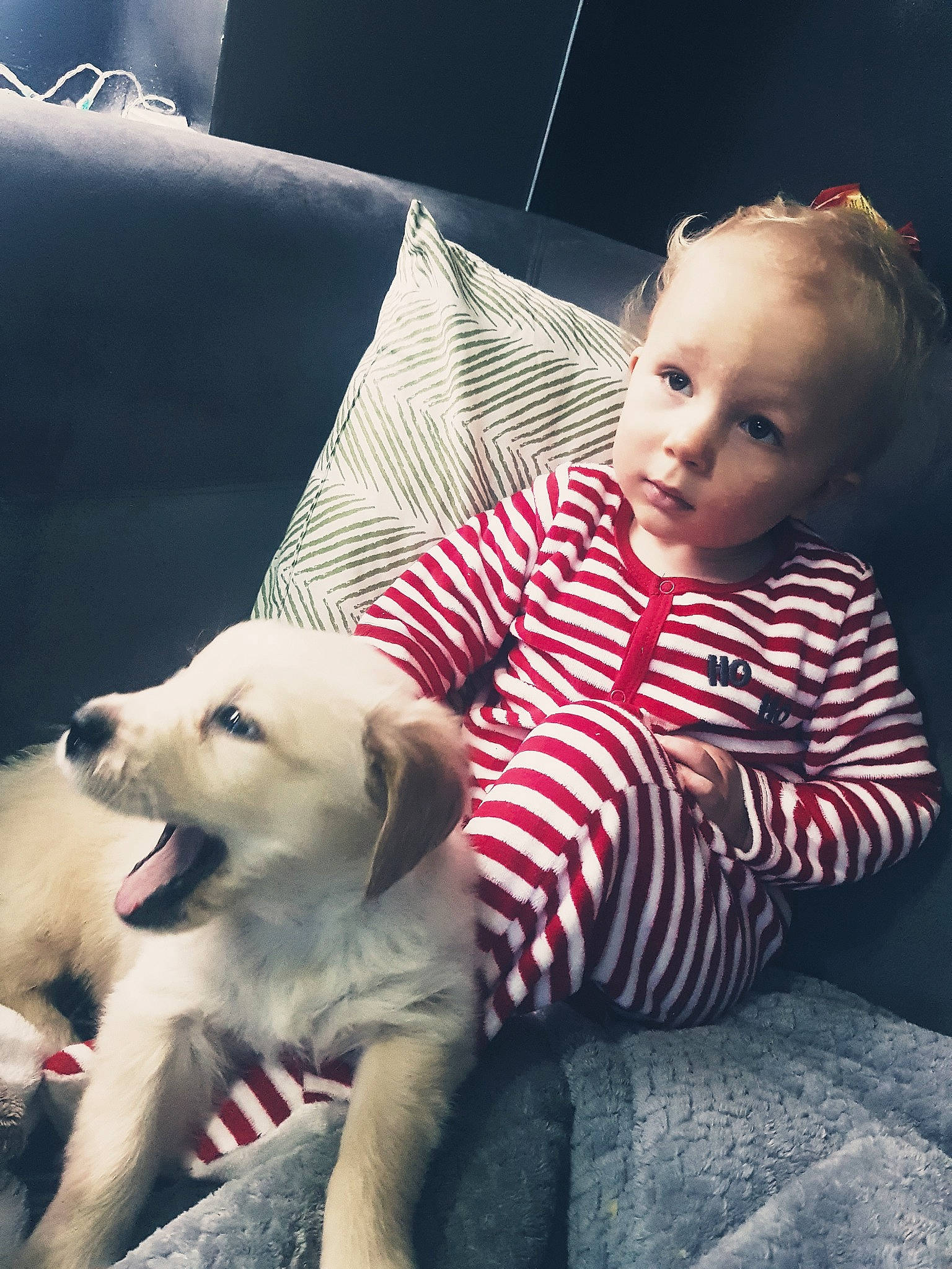 Matheo a rejoint le concours — aidez-le/la à gagner de superbes lots ! beauty, canidae, carnivore, cloud, comfort, companion_dog, couch, dog, dog_breed, fawn, flash_photography, happy, lap, mammal, person, pillow, sporting_group, style, t_shirt, toddler