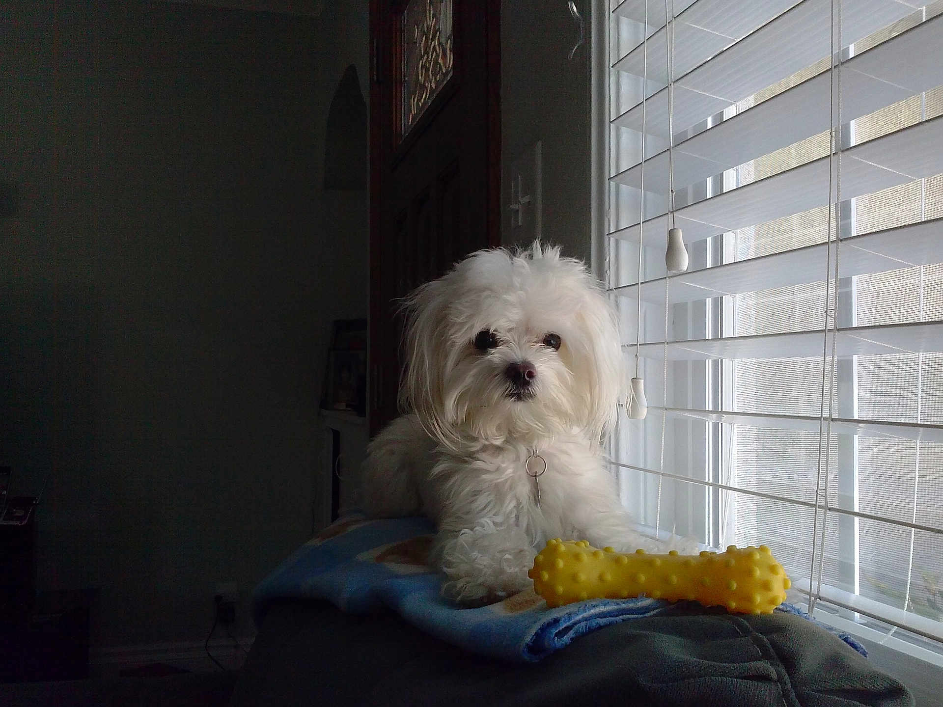 Casper