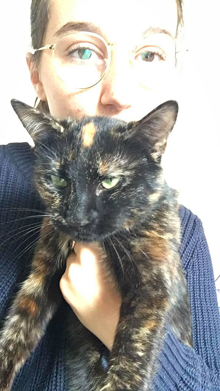 Orezza a rejoint le concours — aidez-le/la à gagner de superbes lots ! asian, black_cat, carnivore, cat, domestic_short_haired_cat, european_shorthair, felidae, fur, german_rex, havana_brown, small_to_medium_sized_cats, snout, whiskers