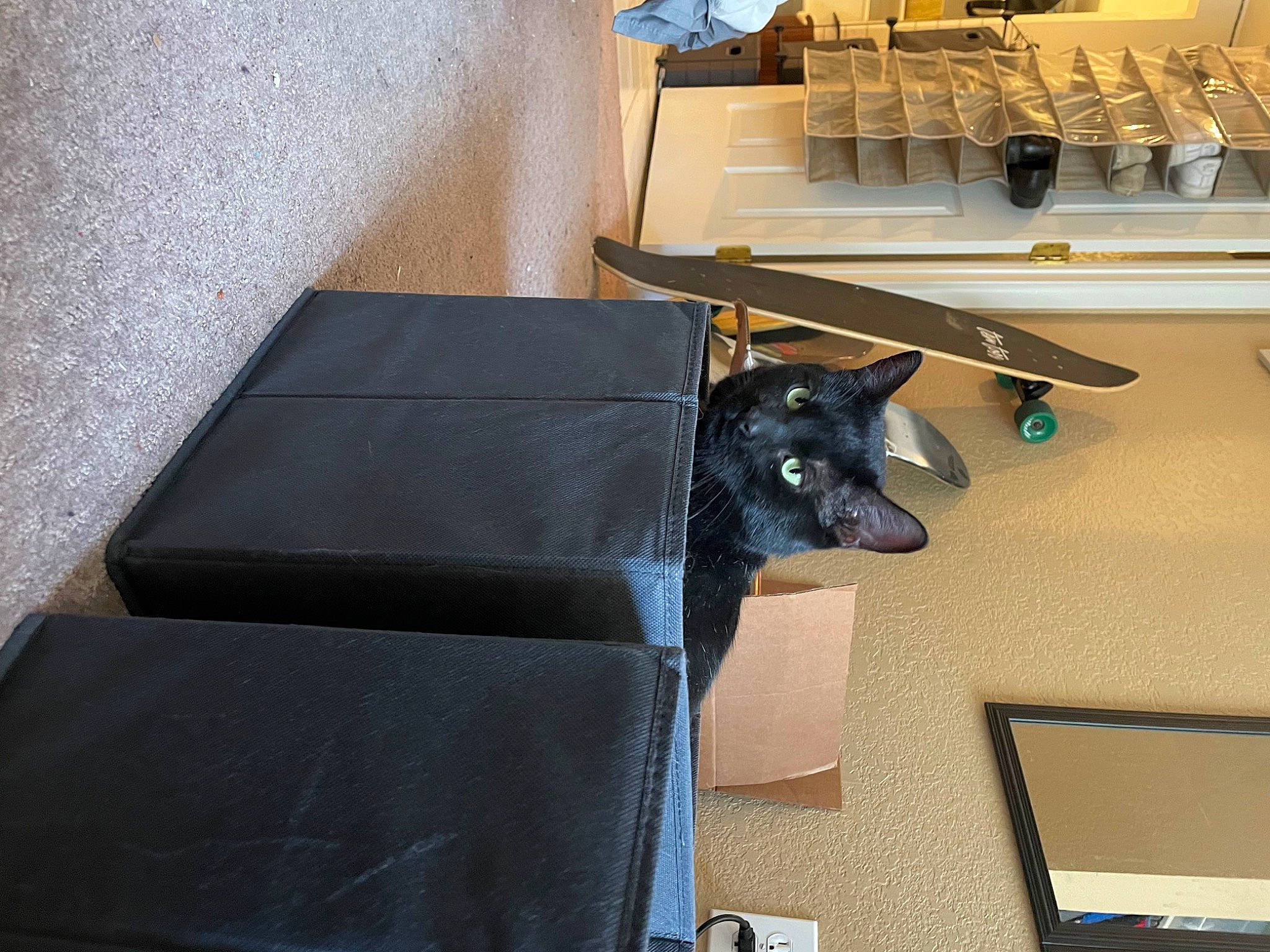 Binx is registered to the contest to win money with this photo: automotive_design, automotive_exterior, carnivore, chair, desk, dog_breed, felidae, flooring, hardwood, machine, room, small_to_medium_sized_cats, table, whiskers, window, wood