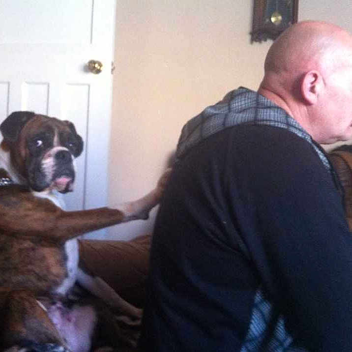 Jasmine joined the competition — help win amazing prizes!