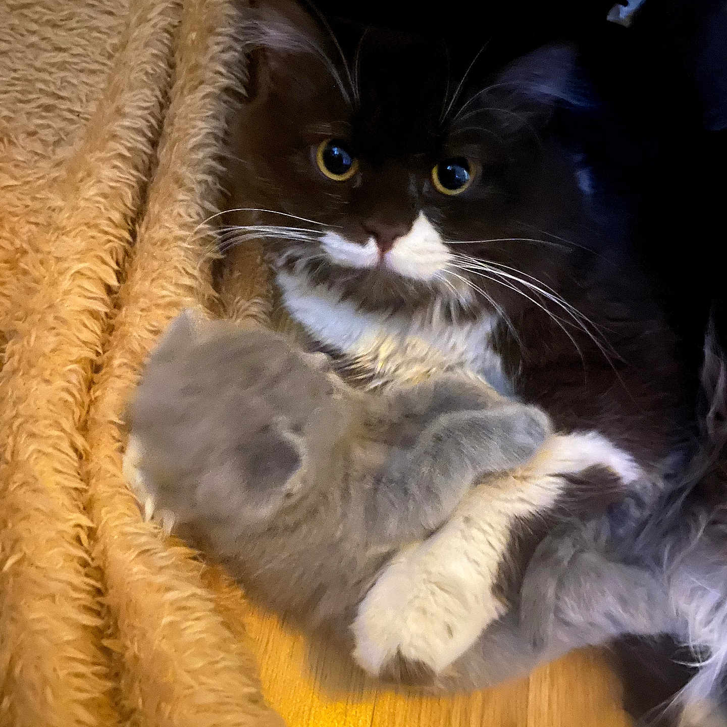 Titan