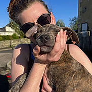 Milo a rejoint le concours — aidez-le/la à gagner de superbes lots ! woman, dog, puppy, brindle, sunglasses, smiling, hand, outdoor, sunlight, sky, happy, pet, holding, face, person, animal, nature, daytime, casual, affection
