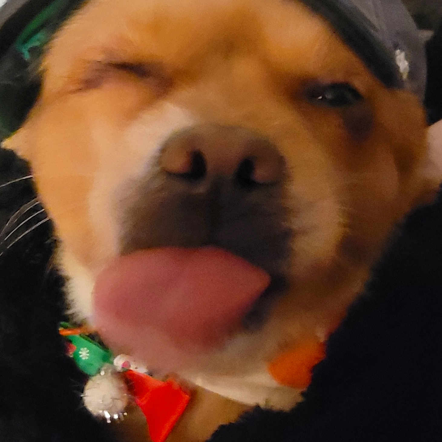 Zelda