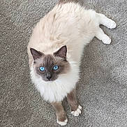 Hector is registered to the contest to win money with this photo: