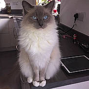 Hector joined the competition — help win amazing prizes!