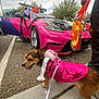 Bubbles joined the competition — help win amazing prizes! dog, costume, pink, car, sports_car, tinsel, sidewalk, leash, person, hand, halloween, bag, decorations, outdoor, parking_lot, tree, cloudy_sky, tongue_out, festive, pet