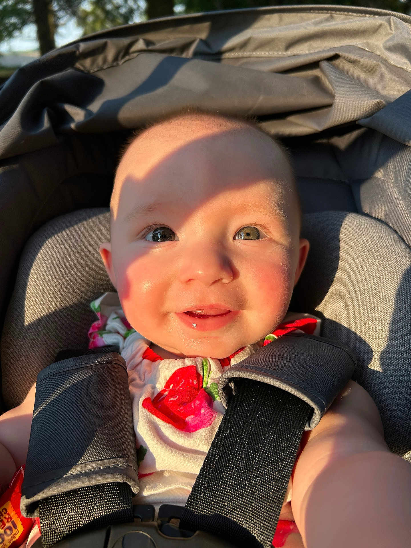 Harper joined the competition — help win amazing prizes! baby, child, smiling, car_seat, seatbelt, sunlight, shadow, face, portrait, happy, infant, cute, clothing, straps, outdoor, closeup, skin, head, person, daylight
