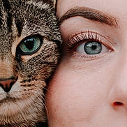 Poppy a rejoint le concours — aidez-le/la à gagner de superbes lots ! animal, blue_eyes, cat, close_up, companion, eye, eyelashes, face, fur, intimacy, mouth, nose, person, pet, portrait, similarity, skin, split_face, tabby_cat, whiskers