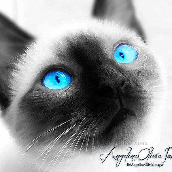 Asia joined the competition — help win amazing prizes!