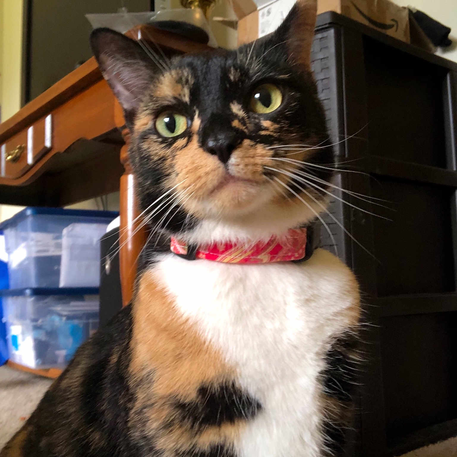 Nixie
