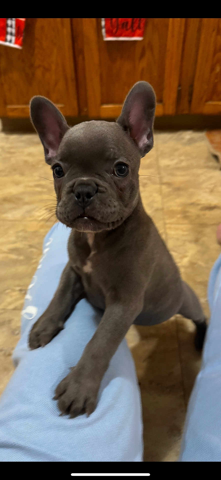 Milo