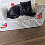 Vaïna a rejoint le concours — aidez-le/la à gagner de superbes lots ! black_cat, cat, pet, animal, feline, cushion, chair, indoor, yellow_eyes, fur, resting, cute, small_furniture, wooden_floor, decor, cozy, soft, relaxed, curious, domestic_animal