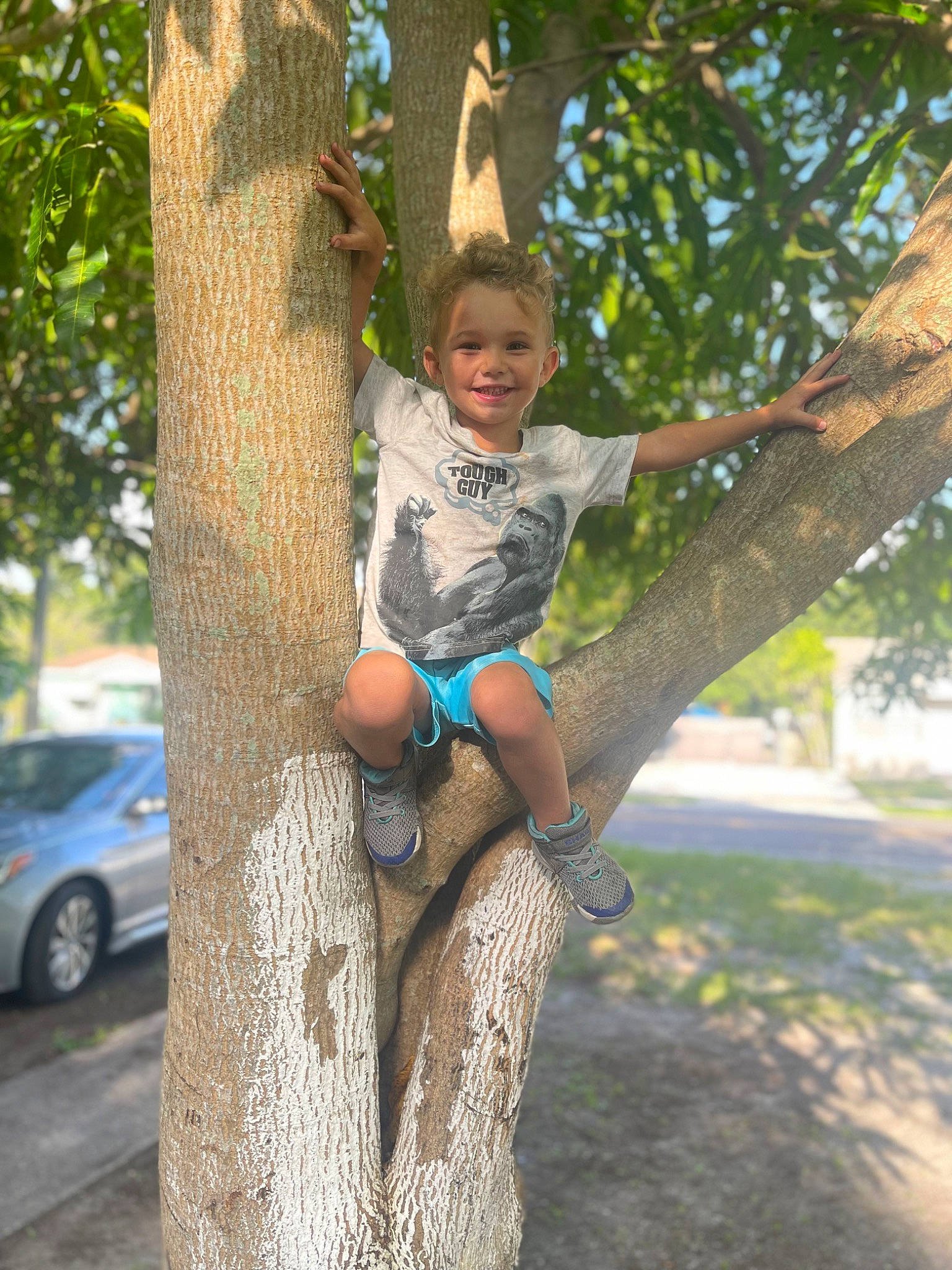 Kai is registered to the contest to win money with this photo: branch, denim, fun, grass, happy, human_leg, joy, knee, leisure, people_in_nature, person, plant, public_space, recreation, thigh, tire, tree, trunk, waist, wheel