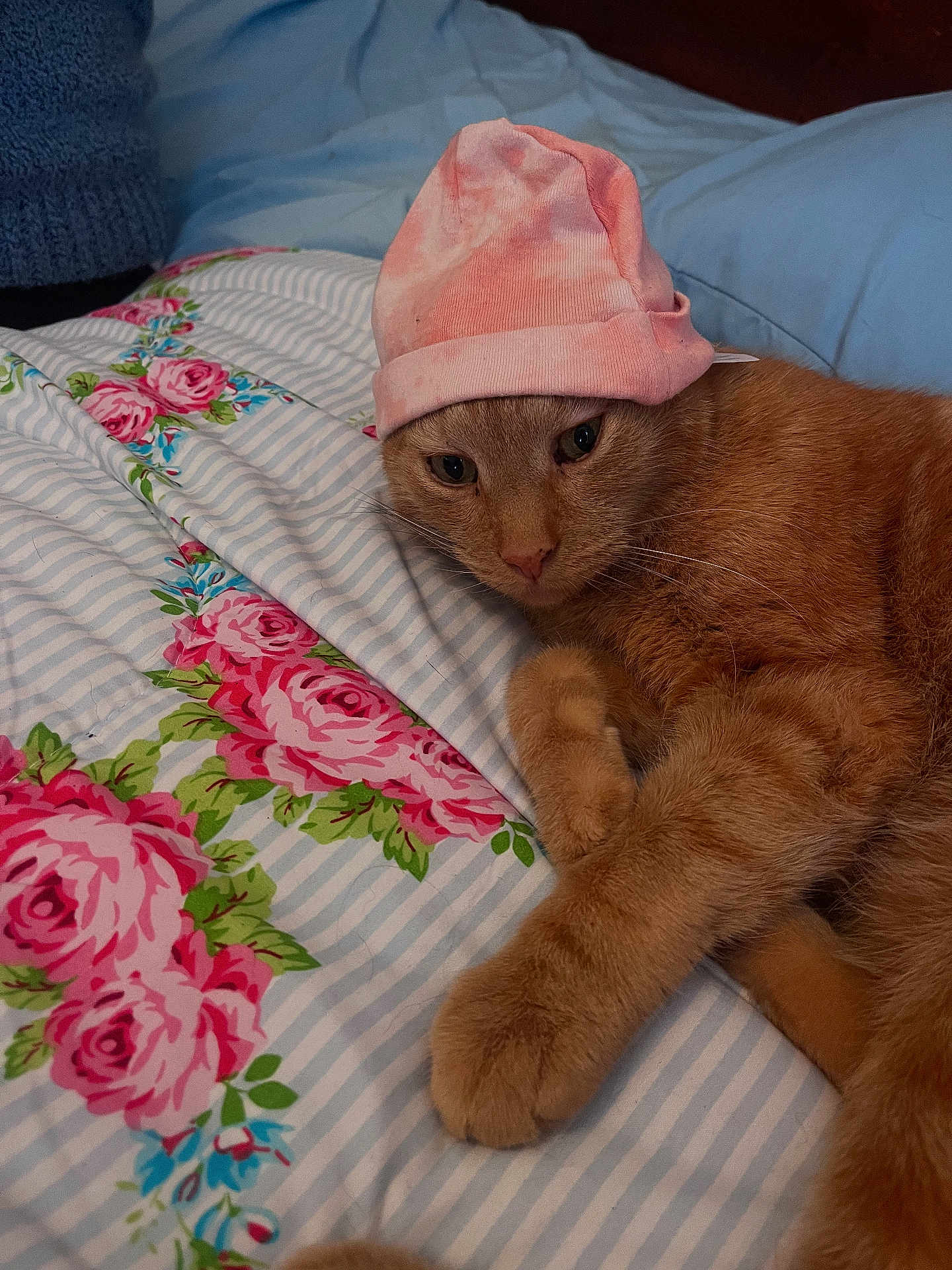 Romeo
