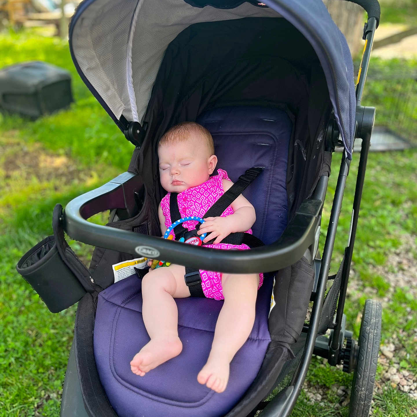 Lakelynn joined the competition — help win amazing prizes! accessories, architecture, baby, building, face, grass, head, machine, nature, outdoors, park, person, photography, plant, portrait, shelter, stroller, sunglasses, tree, wheel