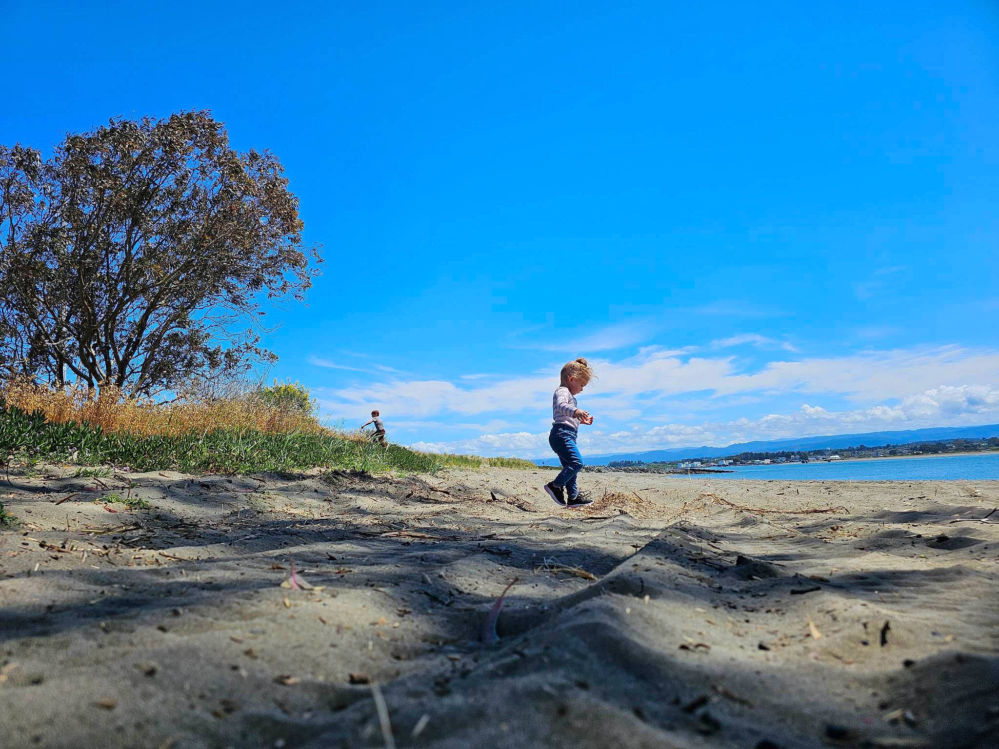 Sequoia joined the competition — help win amazing prizes! asphalt, beach, cloud, coastal_and_oceanic_landforms, cumulus, electric_blue, grassland, hill, horizon, landscape, leisure, people_in_nature, person, plant, sky, travel, tree, water, wind, wind_wave