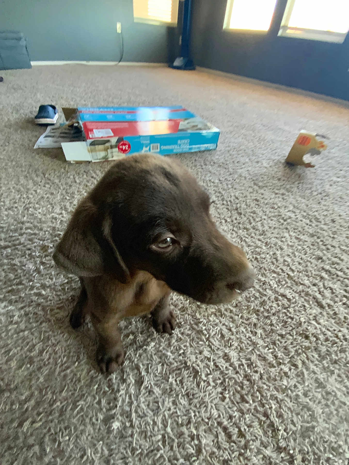 Tino