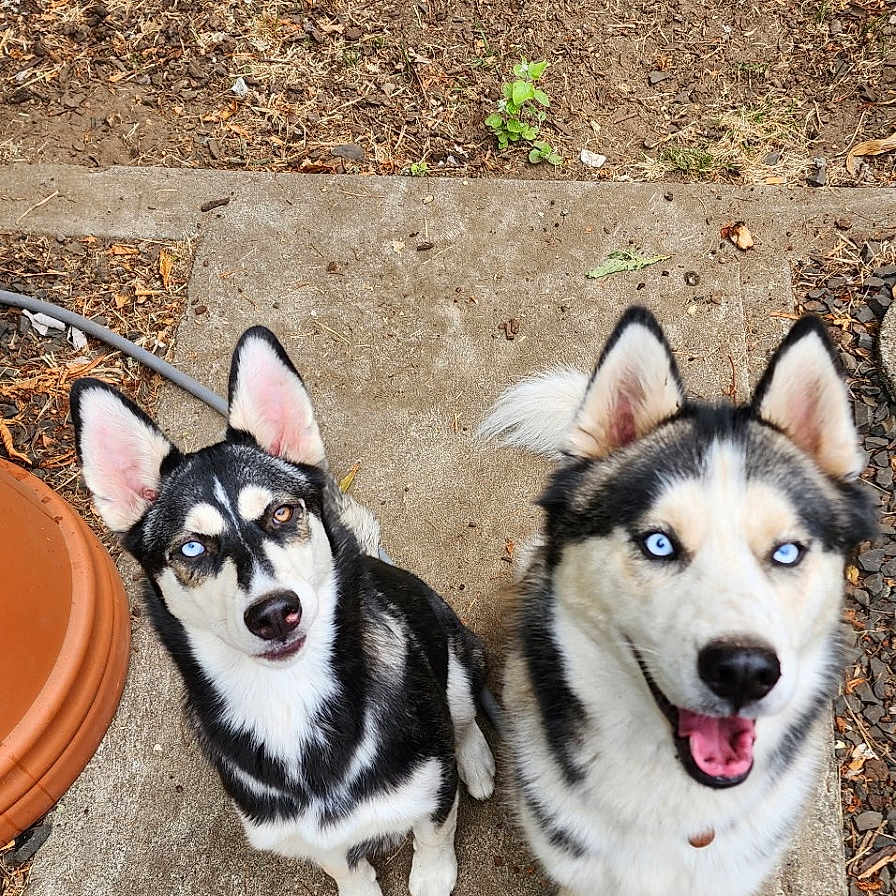 Prince And Princess