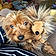 Milou