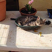 Chanel participe au concours pour gagner de l'argent avec cette photo :