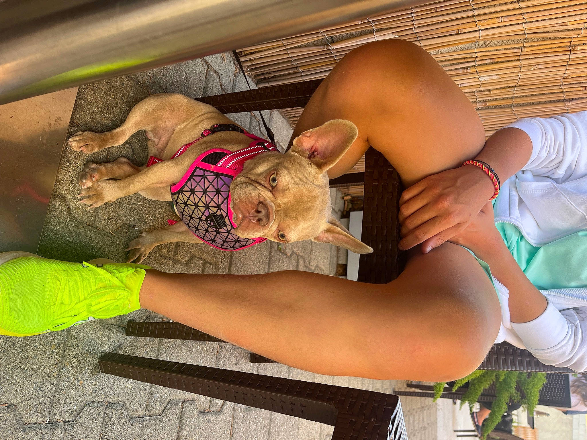 Milla participe au concours pour gagner de l'argent avec cette photo : abdomen, arm, dress, elbow, eyewear, fawn, finger, fun, glasses, human_leg, joint, leg, leisure, muscle, plant, sunglasses, thigh, trunk, waist, wrist