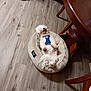 blue_harness, broom, chair, cozy, dog, domestic, flooring, fur, furniture, home, indoor, lying_down, pet_bed, relaxed, resting, sleeping, small_dog, table, white_dog, wooden_floor
