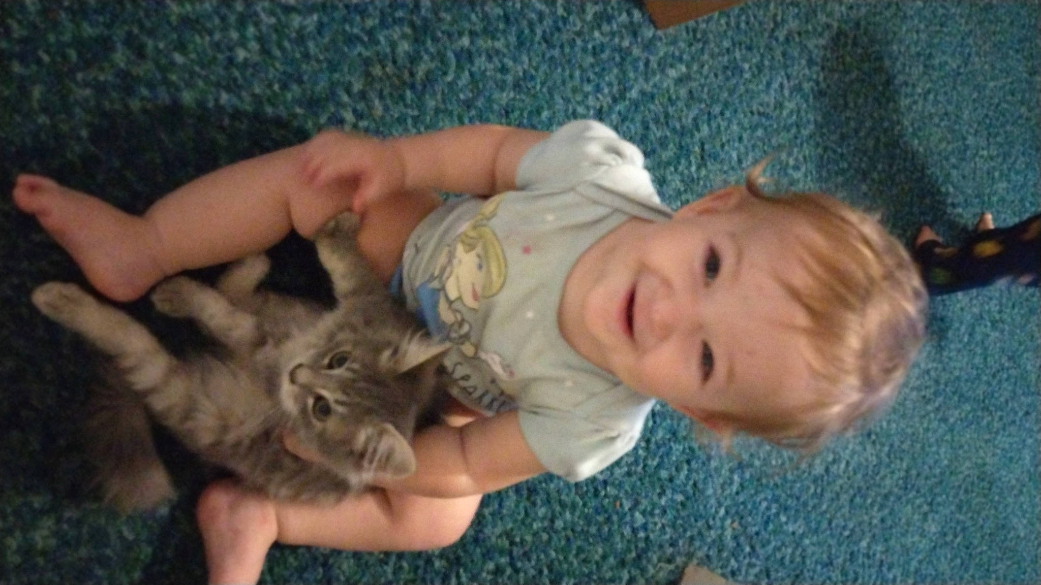 Leila is registered to the contest to win money with this photo: baby, baby_toddler_clothing, carnivore, cat, child, eye, fawn, felidae, finger, grass, hand, iris, joy, mammal, person, skin, small_to_medium_sized_cats, smile, thumb, toddler