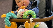 Giovanni is registered to the contest to win money with this photo: baby, child, stroller, toy, plush_toy, indoor, carpet, clothing, socks, seatbelt, happy, cute, playful, infant, person, portrait, casual, comfort, seated, smiling